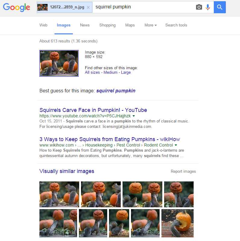 googleimages.jpg